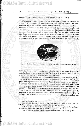 v. 1, n. 11 (1871-1872) - Pagina: 81