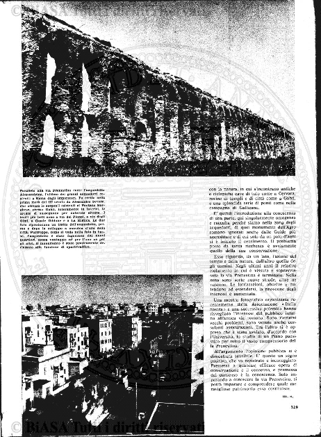 n. 32 (1886) - Pagina: 233 e sommario