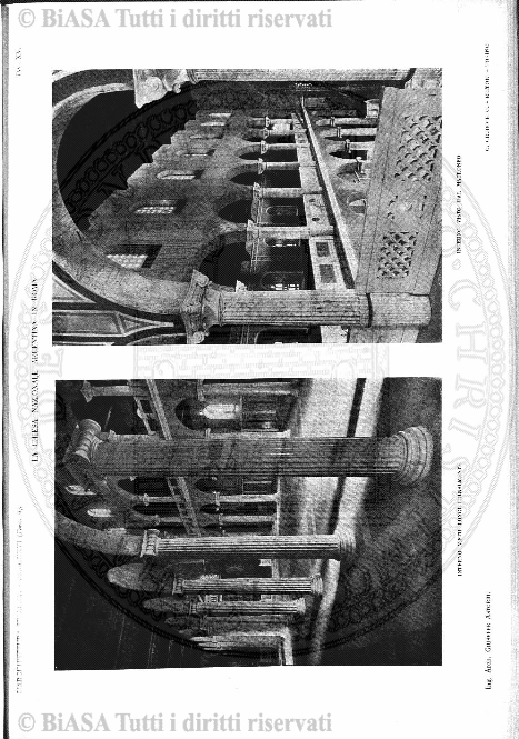 n. 36 (1837) - Pagina: 141