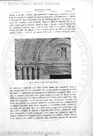 v. 18, n. 43 (1851-1852) - Pagina: 337