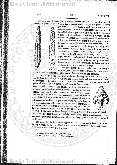 v. 22, n. 39 (1855-1856) - Pagina: 305