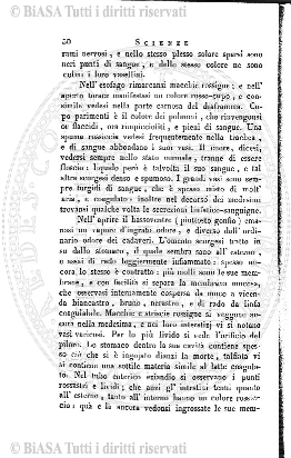 s. 3, v. 4, n. 19 (1899) - Copertina: 1 e sommario