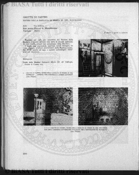 v. 22, n. 3 (1855-1856) - Pagina: 17