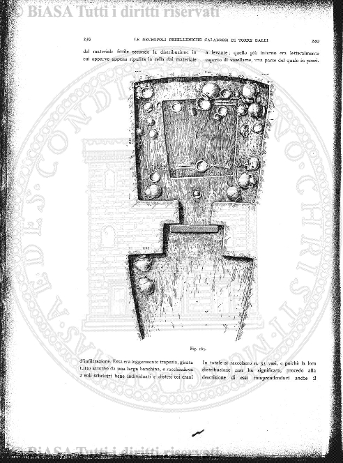 s. 2, n. 17 (1891-1892) - Pagina: 385