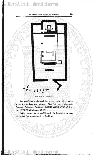 v. 10, n. 50 (1845-1846) - Pagina: 393