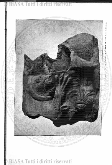 n. 4-6 (1903) - Copertina: 1