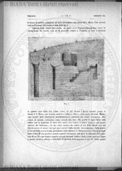 n. 44 (1786) - Pagina: 245