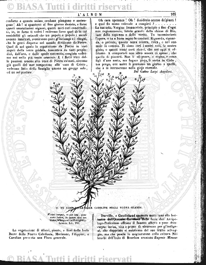 v. 1, n. 4 (1872) - Pagina: 97