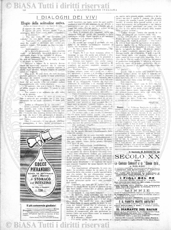 v. 25, n. 32 (1858-1859) - Pagina: 251