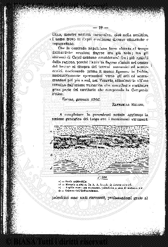 v. 5, n. 35 (1838-1839) - Pagina: 273