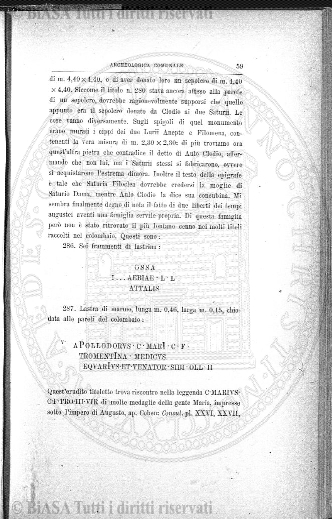 n. 5 (1906) - Copertina: 1