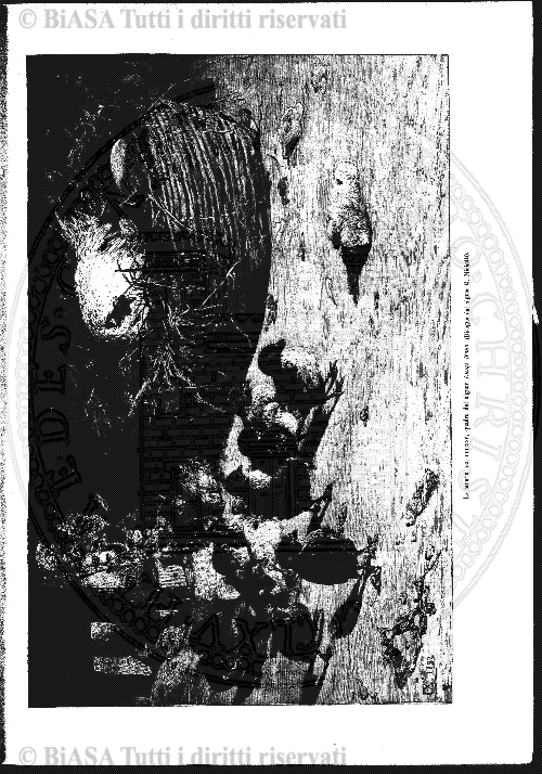 n. 12 (1911) - Sommario