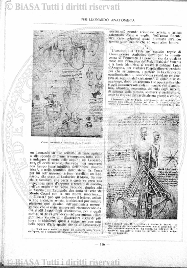 n. 1-2 (1919) - Copertina: 1