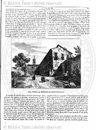 s. 3, v. 1, n. 4 (1882) - Pagina: 125