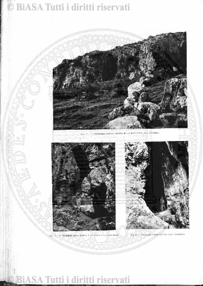 n. 9 (1909) - Pagina: 321