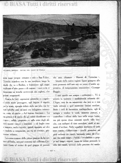 n. 11 (1874-1875) - Pagina: 81