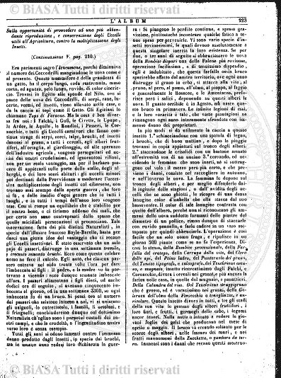 n. 7 (1895) - Pagina: 53