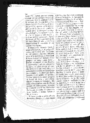 v. 7, n. 14 (1780-1781) - Pagina: 105