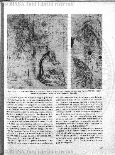 n. 3 (1876) - Pagina: 33