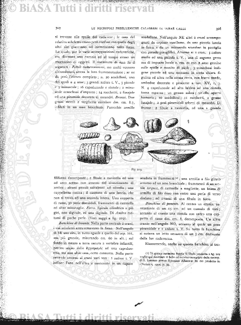 n. 49 (1908) - Frontespizio