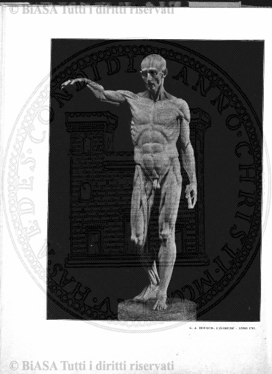 v. 9, n. 52 (1782-1783) - Pagina: 419