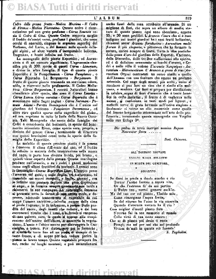n.s., n. 10 (1891) - Pagina: 73 e sommario