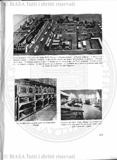 n. 29 (1917) - Frontespizio