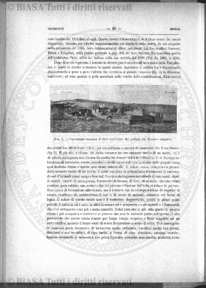 s. 2, v. 7, n. 3 (1872) - Pagina: 61