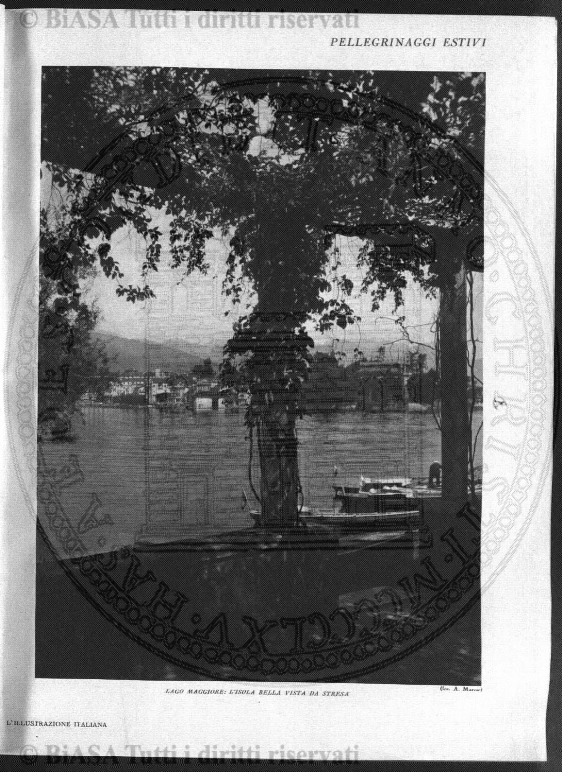 v. 7, n. 1-2 (1884) - Copertina: 1