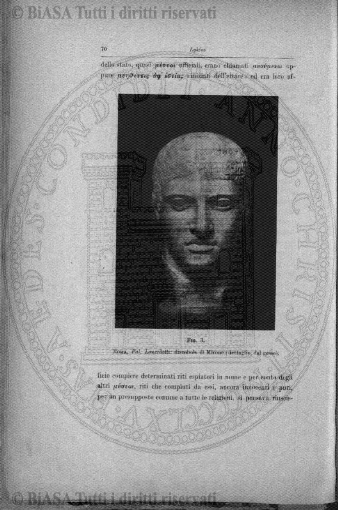 s. 7, v. 1 (1941) - Copertina: 1