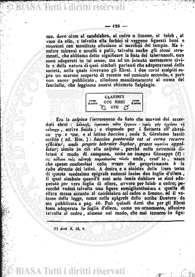 s. 5, v. 17 (1908) - Copertina: 1