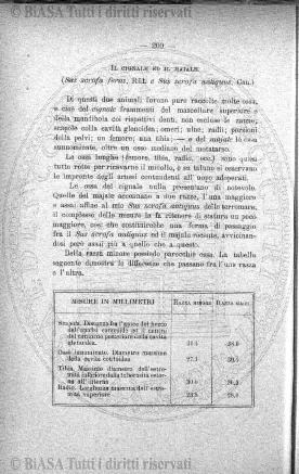 s. 2, v. 10, n. 4 (1875) - Pagina: 109