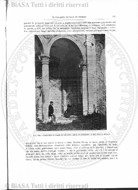 s. 3, v. 1, n. 10-12 (1895) - Pagina: 153