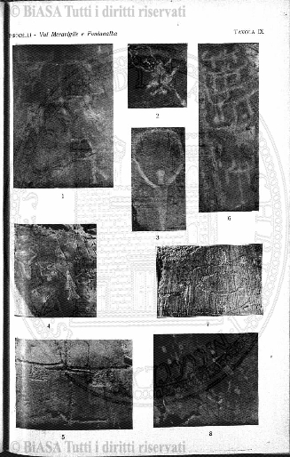 s. 6, n. 49 (1988) - Copertina: 1