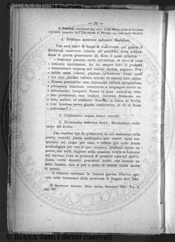 n. 9 (1881) - Pagina: 17