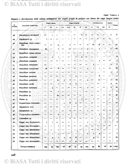 v. 1, n. 6 (1867) - Sommario: p. 81