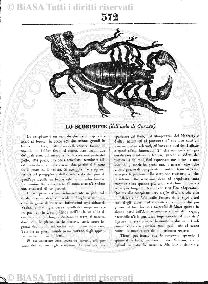 n. 11 (1914) - Copertina: 1