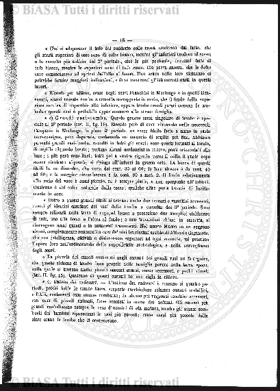 n. 5 (1876) - Pagina: 81