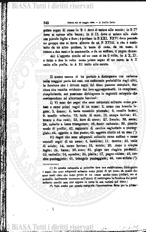 n. 3 (1909) - Pagina: 69