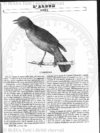v. 6, n. 4 (1874) - Copertina: 1