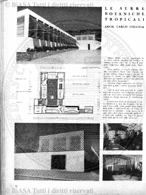 n. 7 (1883) - Pagina: 13