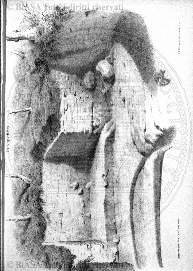 n. 3 (1942-1943) - Copertina: 1