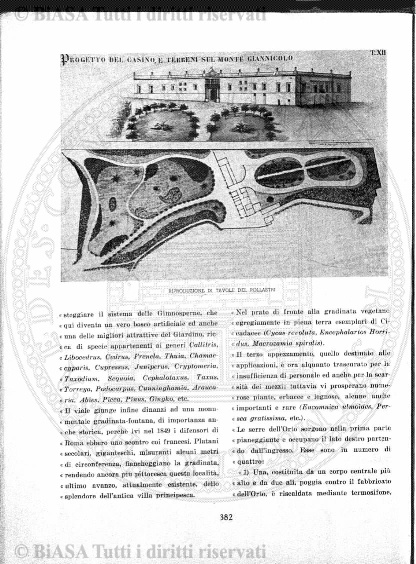 n. 8 (1915) - Copertina: 1