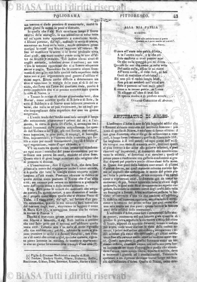 n. 34 (1883) - Pagina: 265 e sommario
