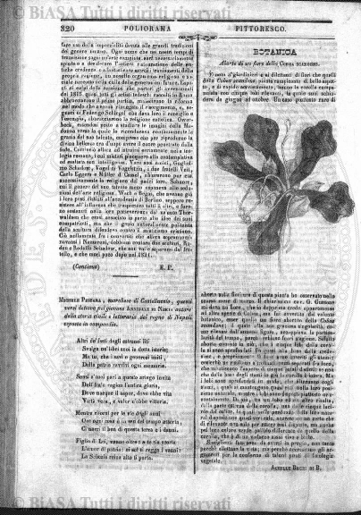 s. 3, n. 17-18 (1907) - Pagina: 129 e sommario