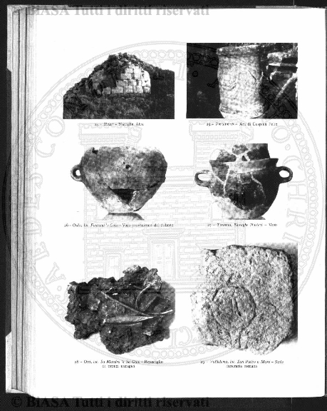 s. 2, v. 6, n. 3 (1871) - Pagina: 61