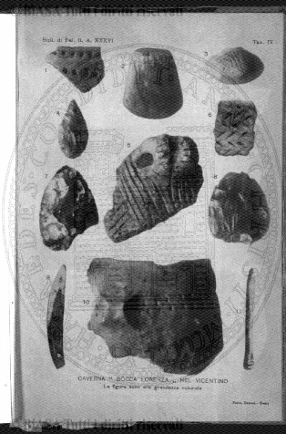 n. 49 (1836) - Pagina: 193