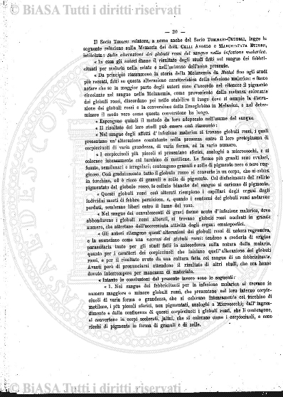 n. 1 (1903) - Frontespizio