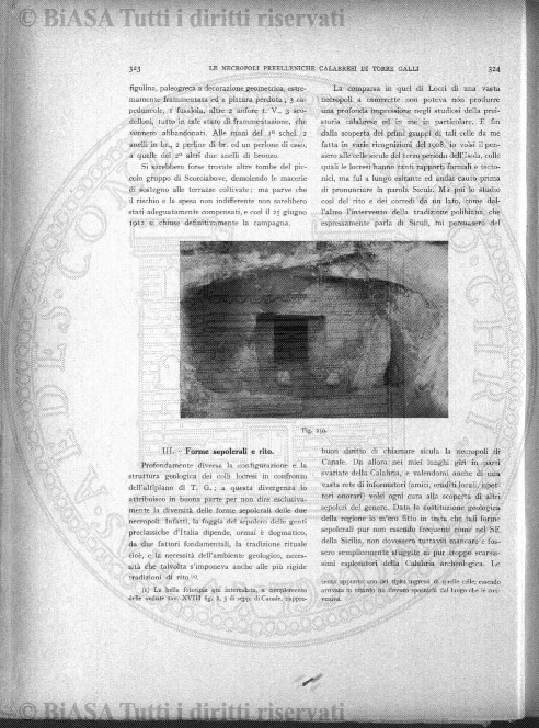 n. 25 (1874-1875) - Sommario: p. 193