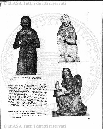 s. 2, v. 12, n. 6 (1877-1878) - Pagina: 193